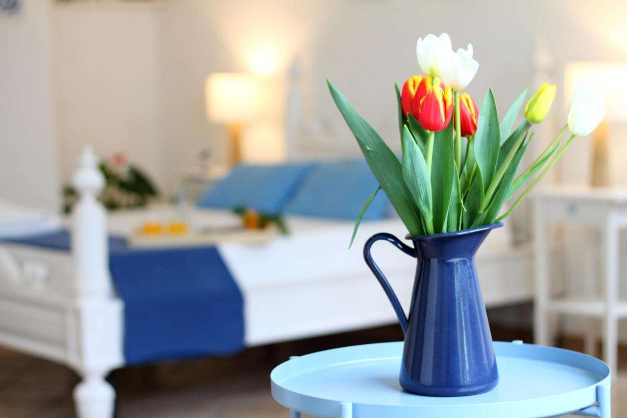 Villa Drina Ischia Zewnętrze zdjęcie